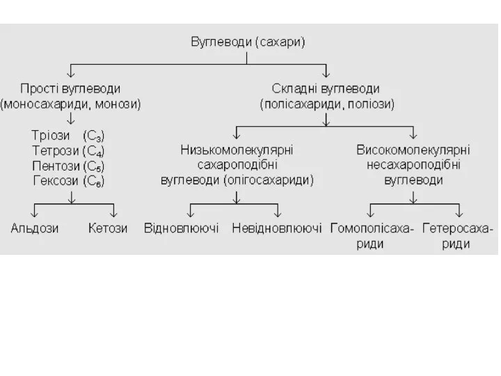 Низькомолекулярні (сахароподібні) полісахариди містять в молекулі не-велике число залишків моноз (2-10).