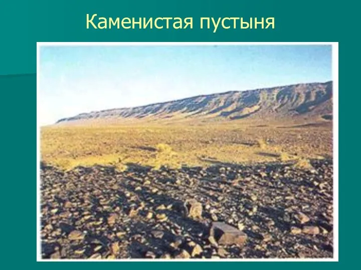 Каменистая пустыня