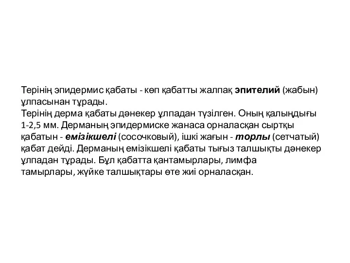 Терінің эпидермис қабаты - көп қабатты жалпақ эпителий (жабын) ұлпасынан тұрады.