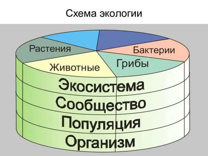 Схема экологии