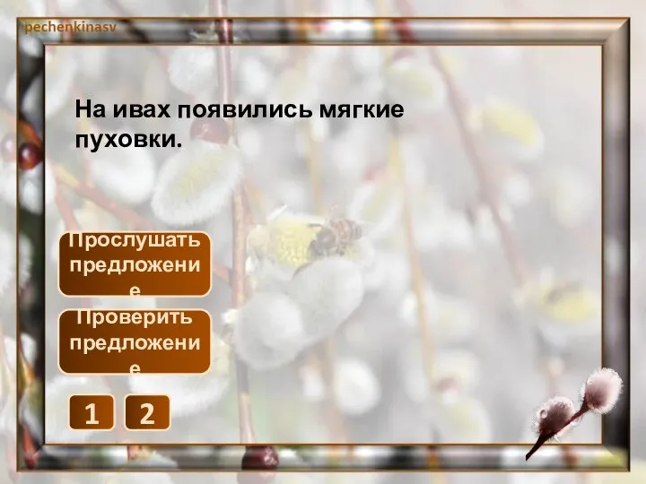 Прослушать предложение 1 2 Проверить предложение На ивах появились мягкие пуховки.