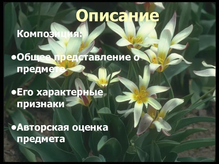 Композиция: Общее представление о предмете Его характерные признаки Авторская оценка предмета