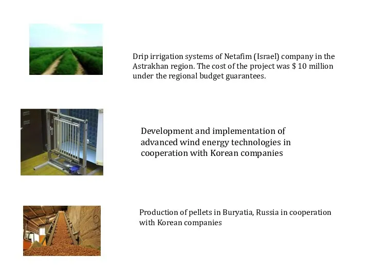 Drip irrigation systems of Netafim (Israel) company in the Astrakhan region.