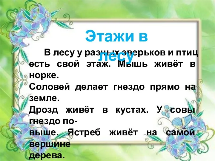 В лесу у разных зверьков и птиц есть свой этаж. Мышь