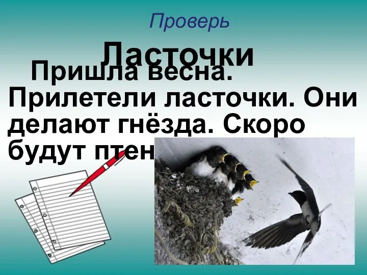 Проверь Пришла весна. Прилетели ласточки. Они делают гнёзда. Скоро будут птенцы. Ласточки