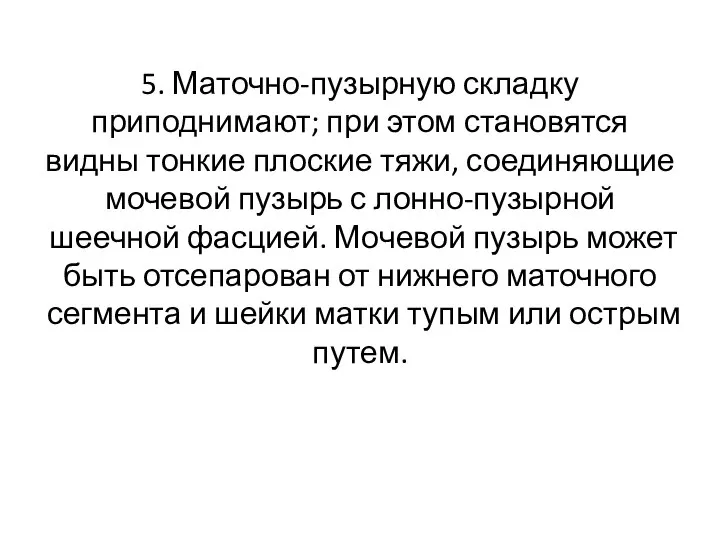 5. Маточно-пузырную складку приподнима­ют; при этом становятся видны тонкие плоские тяжи,