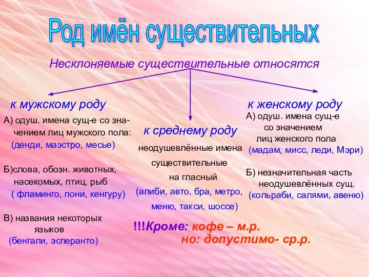 Род имён существительных Несклоняемые существительные относятся к мужскому роду к женскому