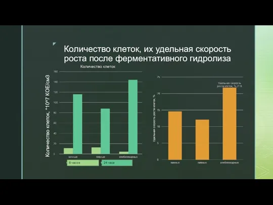 Количество клеток, их удельная скорость роста после ферментативного гидролиза Количество клеток,