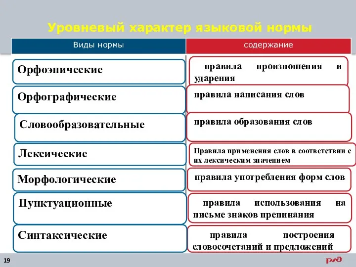 Уровневый характер языковой нормы правила произношения и ударения Орфографические Словообразовательные правила