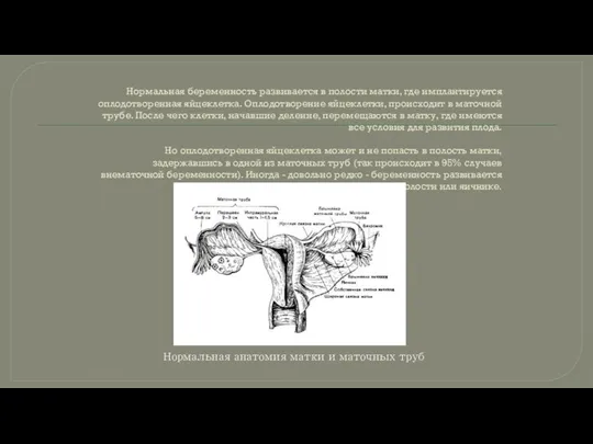 Нормальная беременность развивается в полости матки, где имплантируется оплодотворенная яйцеклетка. Оплодотворение