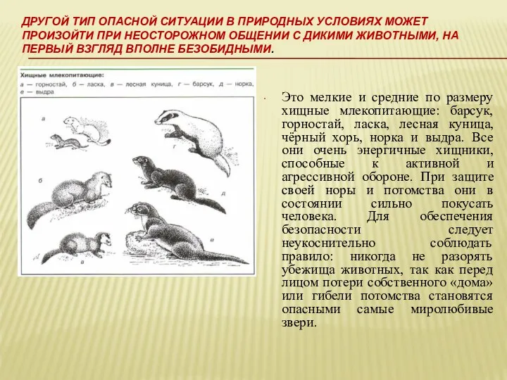 ДРУГОЙ ТИП ОПАСНОЙ СИТУАЦИИ В ПРИРОДНЫХ УСЛОВИЯХ МОЖЕТ ПРОИЗОЙТИ ПРИ НЕОСТОРОЖНОМ