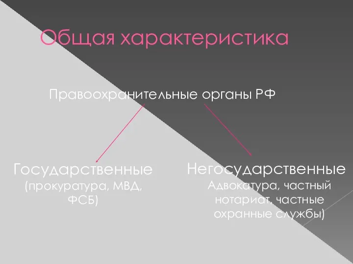 Общая характеристика Правоохранительные органы РФ Негосударственные Адвокатура, частный нотариат, частные охранные службы) Государственные (прокуратура, МВД, ФСБ)