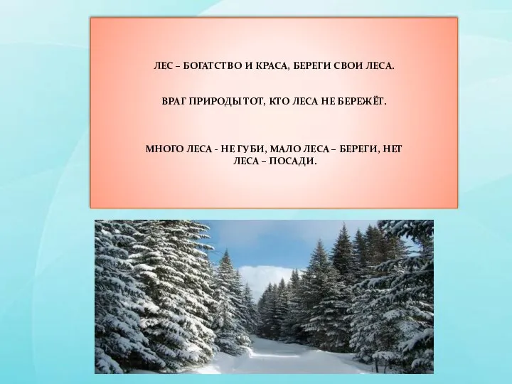 ЛЕС – БОГАТСТВО И КРАСА, БЕРЕГИ СВОИ ЛЕСА. ВРАГ ПРИРОДЫ ТОТ,