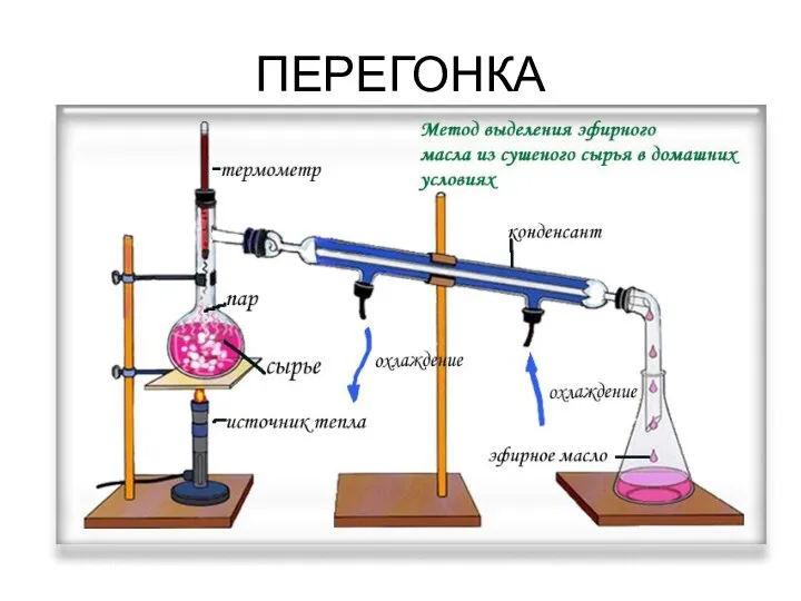 ПЕРЕГОНКА