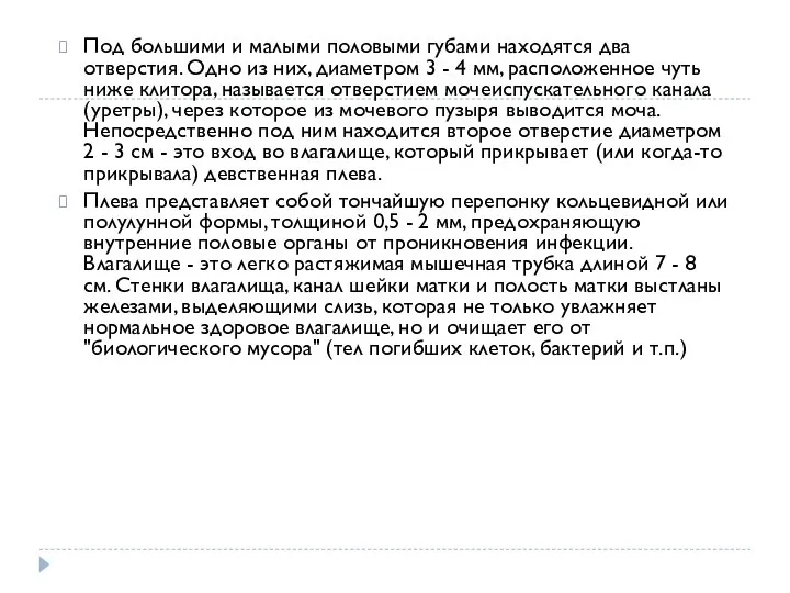 Под большими и малыми половыми губами находятся два отверстия. Одно из