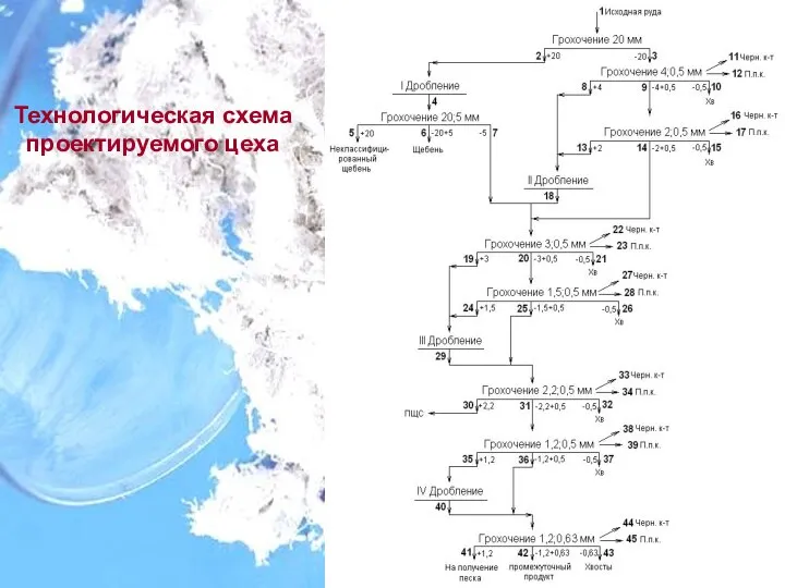 Технологическая схема проектируемого цеха