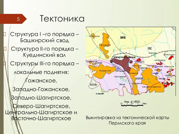 Тектоника Структура I –го порядка – Башкирский свод Структура II-го порядка