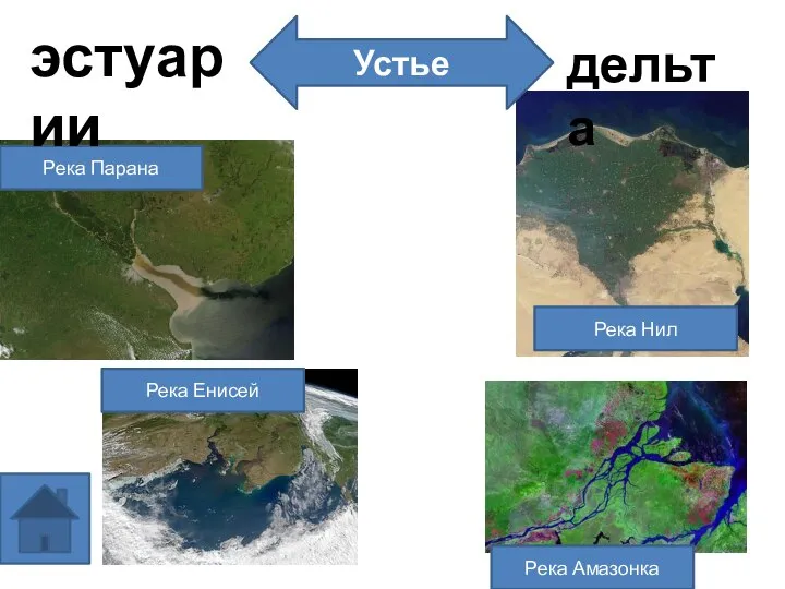 Река Парана Река Енисей Река Нил Река Амазонка Устье эстуарии дельта