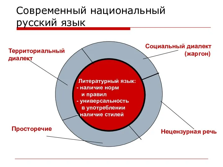 Современный национальный русский язык Литературный язык: наличие норм и правил универсальность