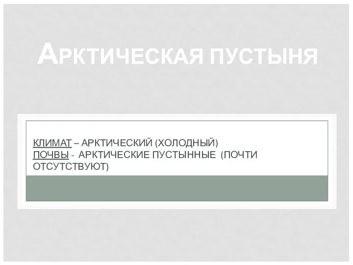 КЛИМАТ – АРКТИЧЕСКИЙ (ХОЛОДНЫЙ) ПОЧВЫ - АРКТИЧЕСКИЕ ПУСТЫННЫЕ (ПОЧТИ ОТСУТСТВУЮТ) АРКТИЧЕСКАЯ ПУСТЫНЯ