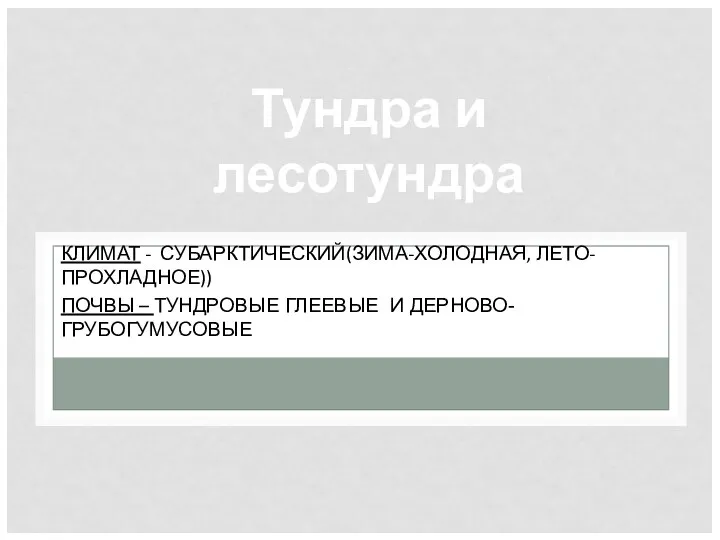 КЛИМАТ - СУБАРКТИЧЕСКИЙ(ЗИМА-ХОЛОДНАЯ, ЛЕТО-ПРОХЛАДНОЕ)) ПОЧВЫ – ТУНДРОВЫЕ ГЛЕЕВЫЕ И ДЕРНОВО-ГРУБОГУМУСОВЫЕ Тундра и лесотундра