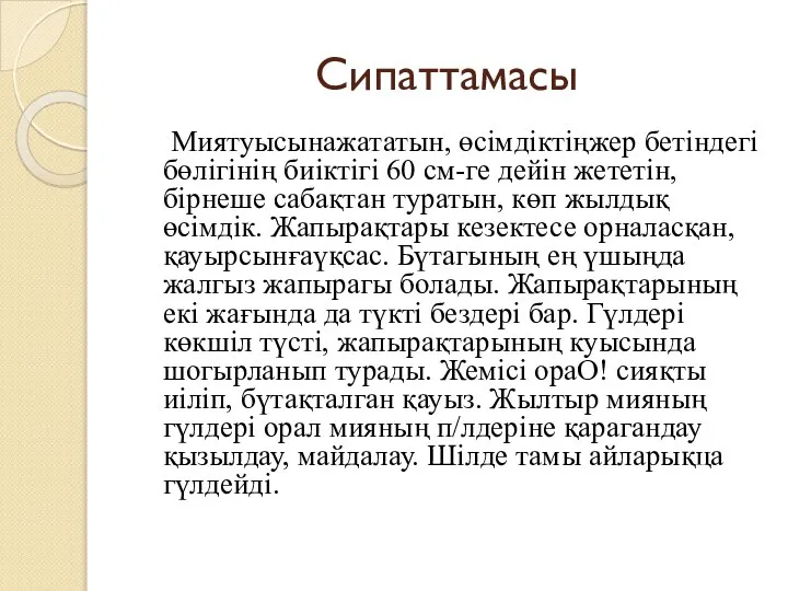 Сипаттамасы Миятуысынажататын, өсімдіктіңжер бетіндегі бөлігінің биіктігі 60 см-ге дейін жететін, бірнеше