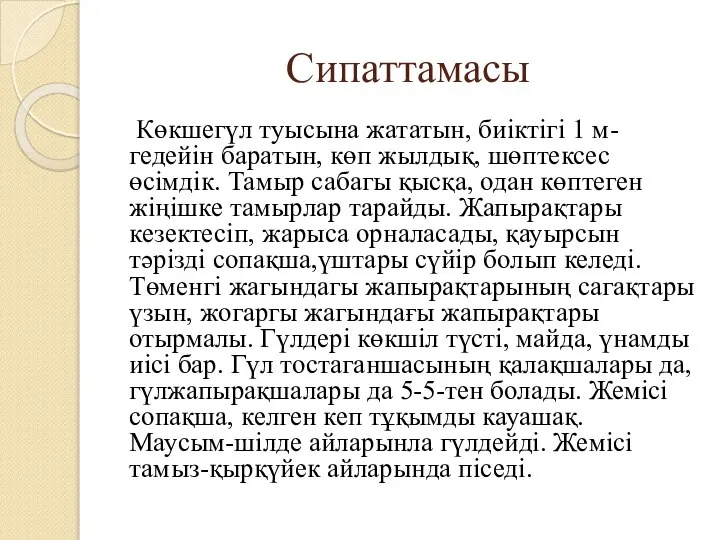 Сипаттамасы Көкшегүл туысына жататын, биіктігі 1 м-гедейін баратын, көп жылдық, шөптексес