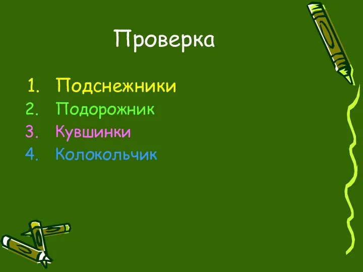 Проверка Подснежники Подорожник Кувшинки Колокольчик