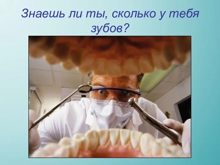 Знаешь ли ты, сколько у тебя зубов?