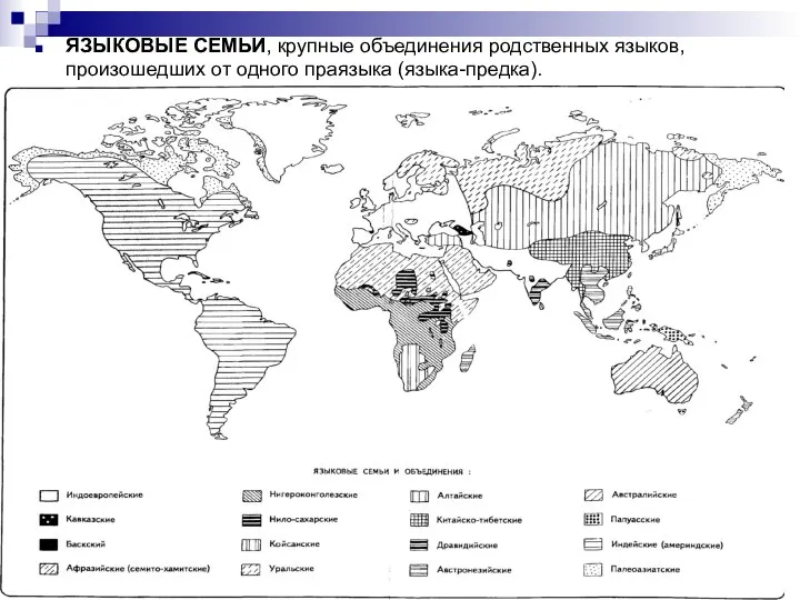 ЯЗЫКОВЫЕ СЕМЬИ, крупные объединения родственных языков, произошедших от одного праязыка (языка-предка).
