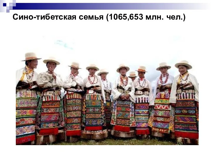 Сино-тибетская семья (1065,653 млн. чел.)