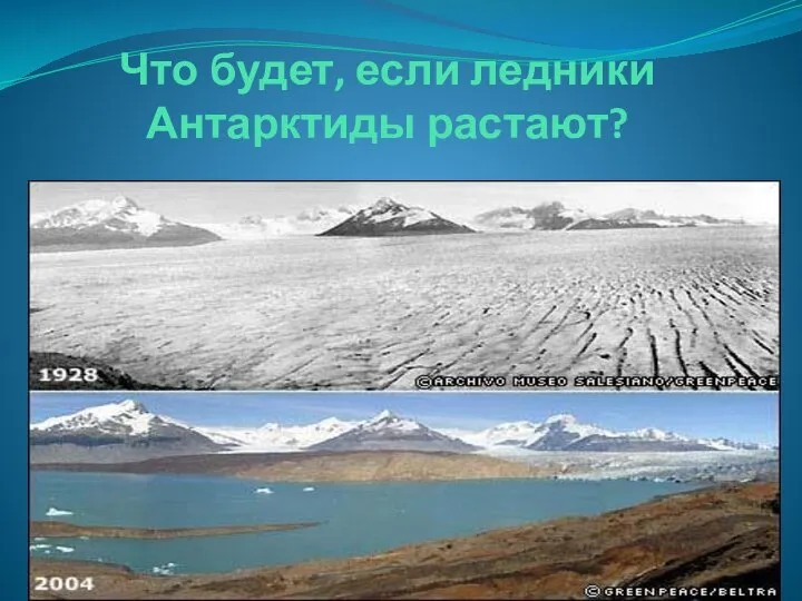 Что будет, если ледники Антарктиды растают?