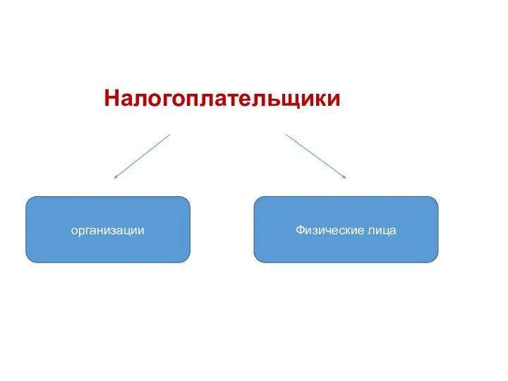 Налогоплательщики организации Физические лица