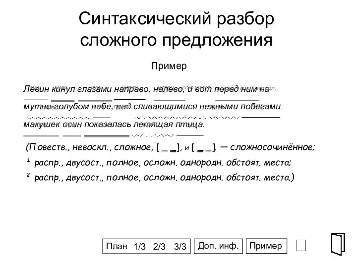 Левин кинул глазами направо, налево, и вот перед ним на мутно-голубом