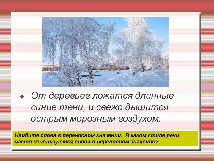 От деревьев ложатся длинные синие тени, и свежо дышится острым морозным