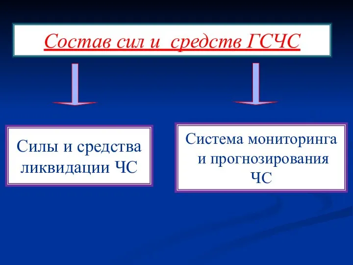 Состав сил и средств ГСЧС Силы и средства ликвидации ЧС Система мониторинга и прогнозирования ЧС