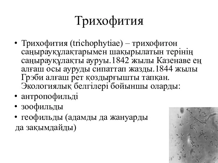 Трихофития Трихофития (trichophytiae) – трихофитон саңырауқұлақтарымен шақырылатын терінің саңырауқұлақты ауруы.1842 жылы