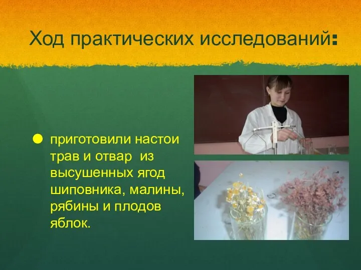 Ход практических исследований: приготовили настои трав и отвар из высушенных ягод