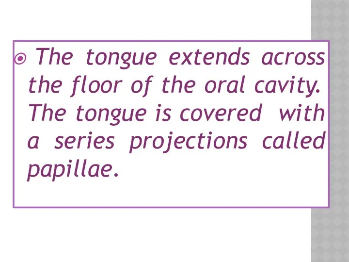 The tongue extends across the floor of the oral cavity. The