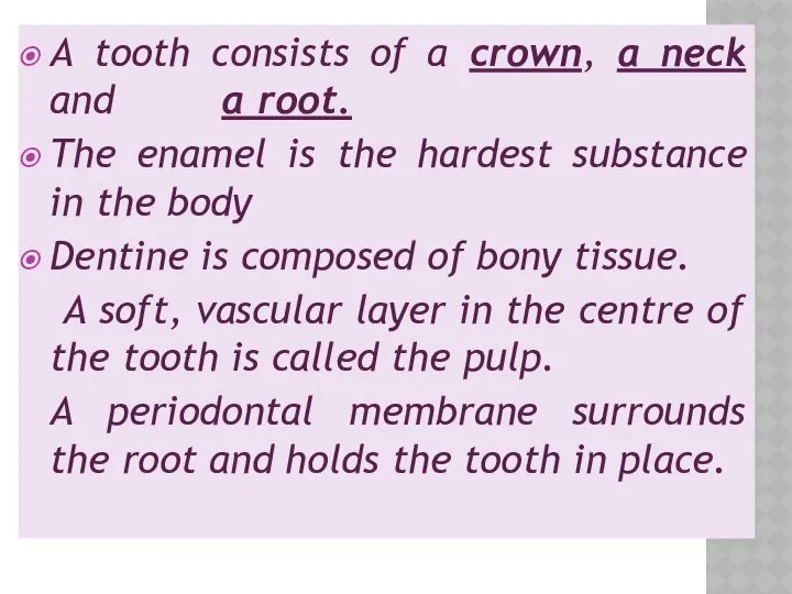 A tooth consists of a crown, a neck and a root.