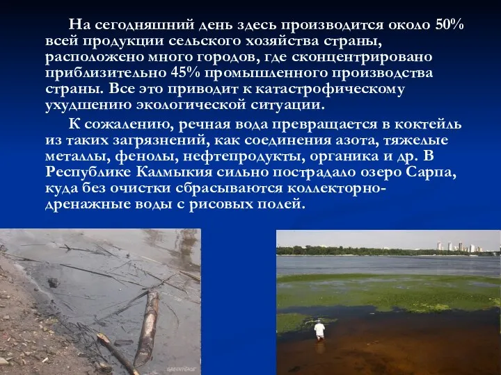 На сегодняшний день здесь производится около 50% всей продукции сельского хозяйства