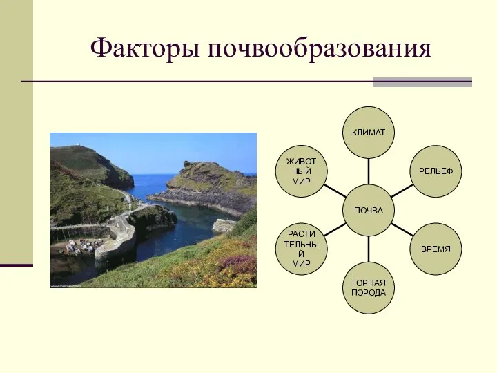 Факторы почвообразования