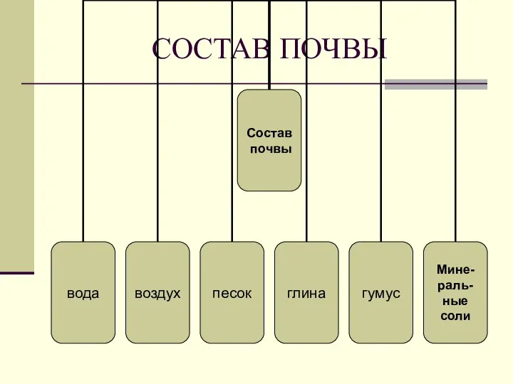 СОСТАВ ПОЧВЫ