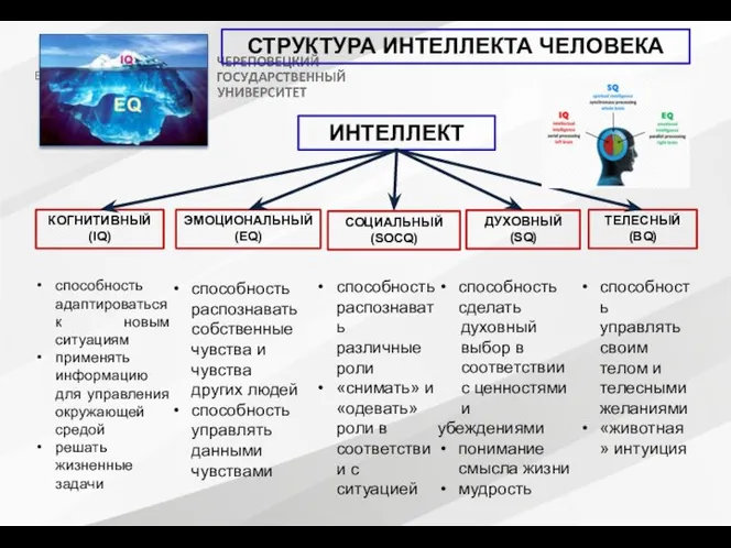 СТРУКТУРА ИНТЕЛЛЕКТА ЧЕЛОВЕКА ИНТЕЛЛЕКТ КОГНИТИВНЫЙ (IQ) ЭМОЦИОНАЛЬНЫЙ (EQ) ДУХОВНЫЙ (SQ) ТЕЛЕСНЫЙ