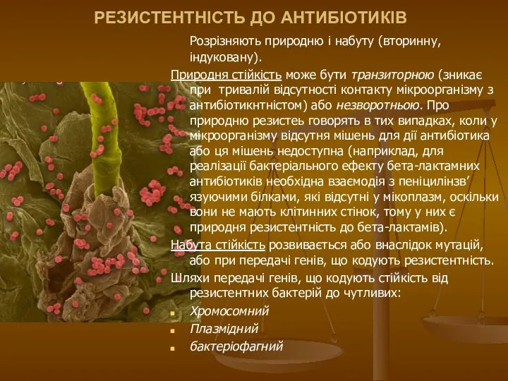 РЕЗИСТЕНТНІСТЬ ДО АНТИБІОТИКІВ Розрізняють природню і набуту (вторинну, індуковану). Природня стійкість