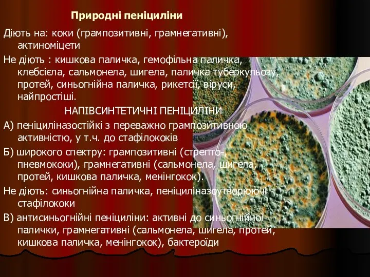 Природні пеніциліни Діють на: коки (грампозитивні, грамнегативні), актиноміцети Не діють :