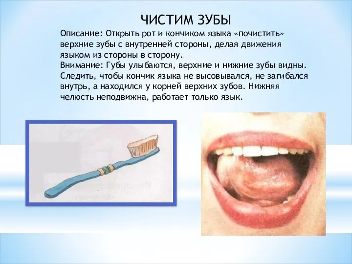 ЧИСТИМ ЗУБЫ Описание: Открыть рот и кончиком языка «почистить» верхние зубы