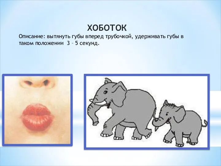 ХОБОТОК Описание: вытянуть губы вперед трубочкой, удерживать губы в таком положении 3 – 5 секунд.