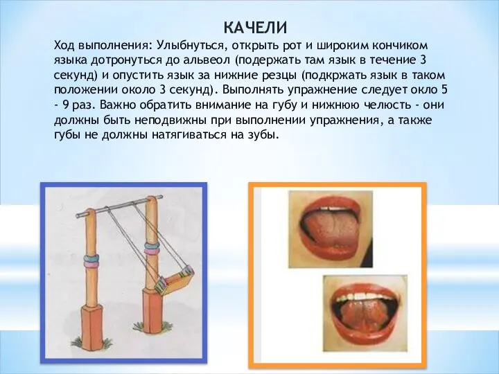 КАЧЕЛИ Ход выполнения: Улыбнуться, открыть рот и широким кончиком языка дотронуться