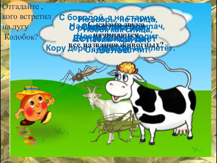 Не зверь, не птица, Носок как спица, Летит – кричит, Сядет